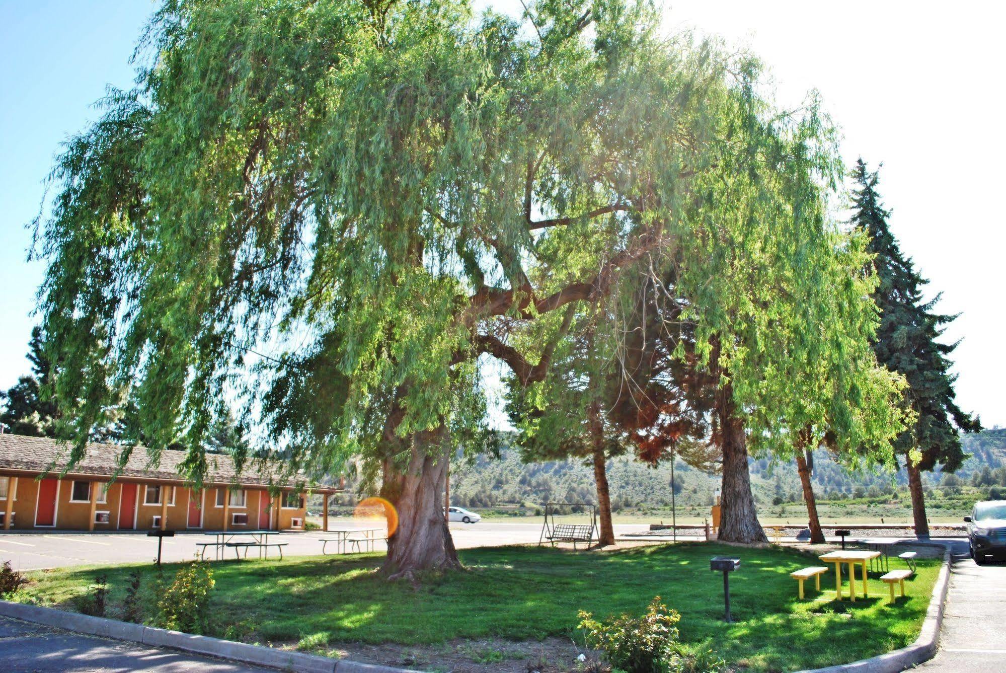 Oregon Motel 8 And Rv Park Klamath Falls Exterior foto